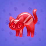 Scared Cat #11635