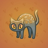 Scared Cat #11677 Scared Cat #11677