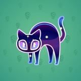 Scared Cat #11735 Scared Cat #11735