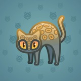 Scared Cat #11858 Scared Cat #11858