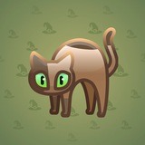Scared Cat #11919 Scared Cat #11919
