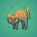 Scared Cat #11920