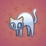 Scared Cat #11925
