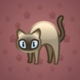 Scared Cat #1205