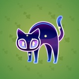 Scared Cat #12131 Scared Cat #12131