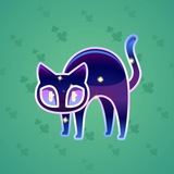 Scared Cat #12177
