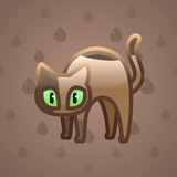 Scared Cat #12198 Scared Cat #12198