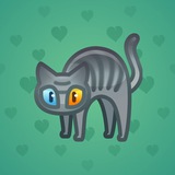 Scared Cat #12257 Scared Cat #12257
