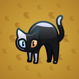 Scared Cat #12264 Scared Cat #12264