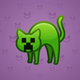 Scared Cat #12296 Scared Cat #12296