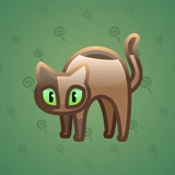Scared Cat #12396 Scared Cat #12396