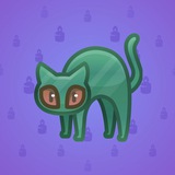 Scared Cat #12428 Scared Cat #12428