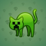 Scared Cat #12493 Scared Cat #12493