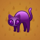 Scared Cat #12537 Scared Cat #12537