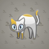 Scared Cat #12560