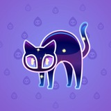 Scared Cat #12572
