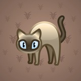 Scared Cat #1258