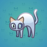 Scared Cat #12620 Scared Cat #12620