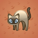 Scared Cat #127