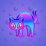 Scared Cat #12863 Scared Cat #12863