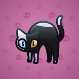 Scared Cat #12889