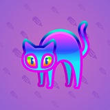 Scared Cat #1292