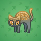 Scared Cat #12982