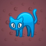 Scared Cat #13127