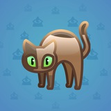 Scared Cat #13206