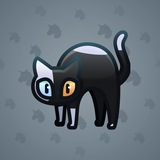 Scared Cat #13261 Scared Cat #13261