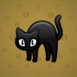 Scared Cat #13389