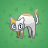 Scared Cat #1339