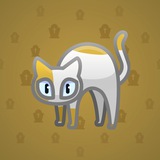 Scared Cat #13501 Scared Cat #13501