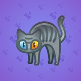 Scared Cat #13534 Scared Cat #13534