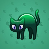 Scared Cat #13582