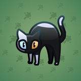 Scared Cat #13653 Scared Cat #13653