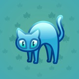 Scared Cat #13687 Scared Cat #13687
