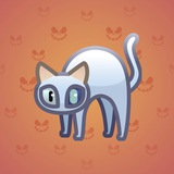 Scared Cat #1376