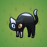 Scared Cat #13794 Scared Cat #13794