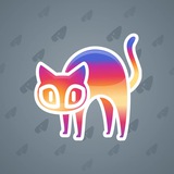Scared Cat #13805 Scared Cat #13805
