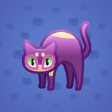 Scared Cat #13893 Scared Cat #13893