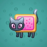 Scared Cat #13985 Scared Cat #13985