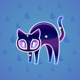 Scared Cat #14011 Scared Cat #14011