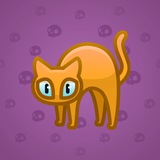 Scared Cat #14061 Scared Cat #14061