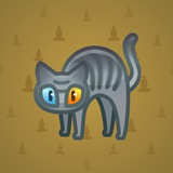 Scared Cat #14187 Scared Cat #14187