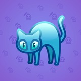 Scared Cat #14250