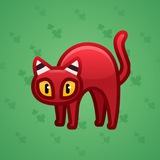 Scared Cat #14306 Scared Cat #14306