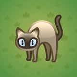 Scared Cat #14309