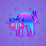 Scared Cat #14362 Scared Cat #14362