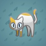 Scared Cat #14368